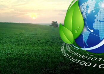 Barceló se suma a iniciativa Climate Neutral Now de las Naciones Unidas
