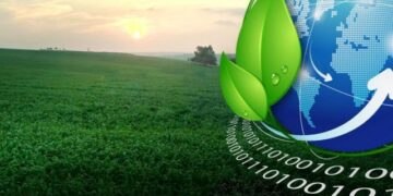 Barceló se suma a iniciativa Climate Neutral Now de las Naciones Unidas
