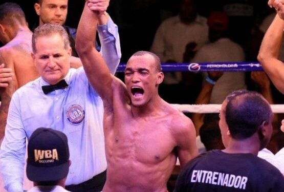 Boxeadores dominicanos con grandes inicios en carrera profesional