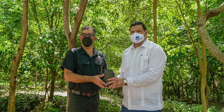 Fundación Refidomsa y Medio Ambiente restauran viveros de mangles en Parque Ecológico de Nigua