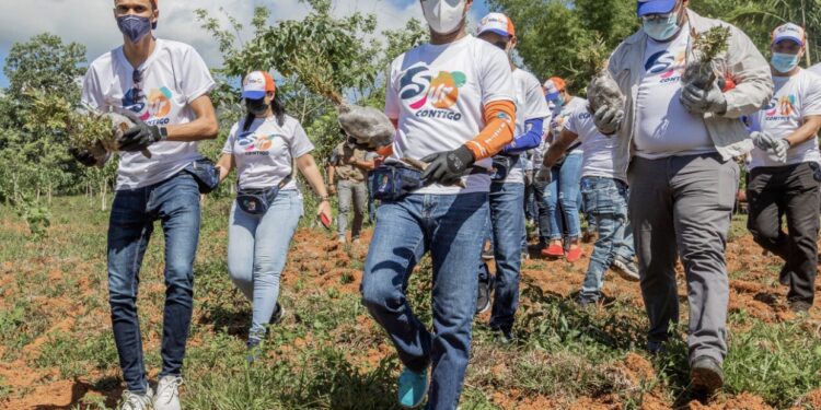 Edesur siembra 4,800 plantas en los Mogotes de Villa Altagracia