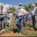 Edesur siembra 4,800 plantas en los Mogotes de Villa Altagracia