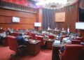 El Senado continúa la lectura íntegra del Código Penal