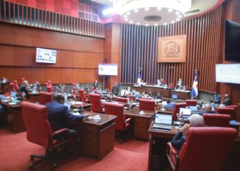 El Senado continúa la lectura íntegra del Código Penal