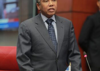 SENADO APRUEBA LEY DE COMERCIO MARÍTIMO DEL SENADOR FÉLIX BAUTISTA Y ALEXIS VICTORIA
