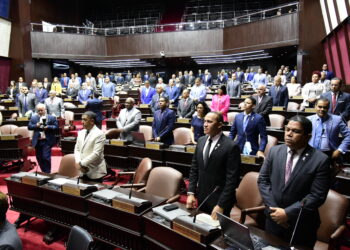 Cámara de Diputados aprueba en primera lectura proyecto de ley que suprime a la CDEEE y a la UERS