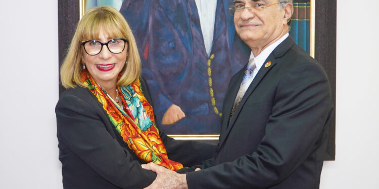 El Tribunal Superior Electoral recibe delegación de la OEA