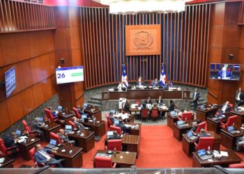 El Senado aprueba en segunda lectura Proyecto Ley de Régimen Electoral
