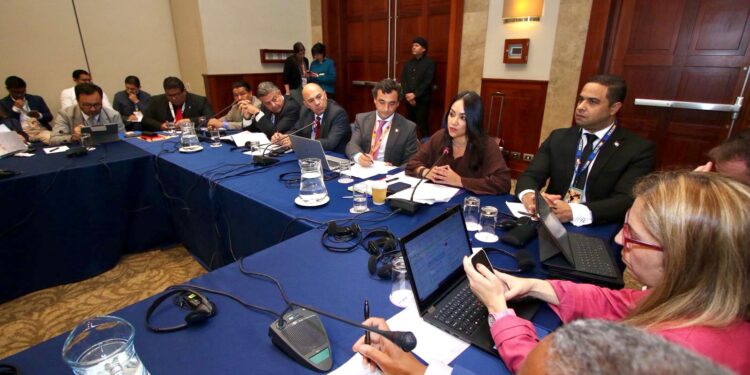 Faride Raful destaca en Perú la importancia de políticas públicas basadas en datos frente a la lucha contra el crimen organizado